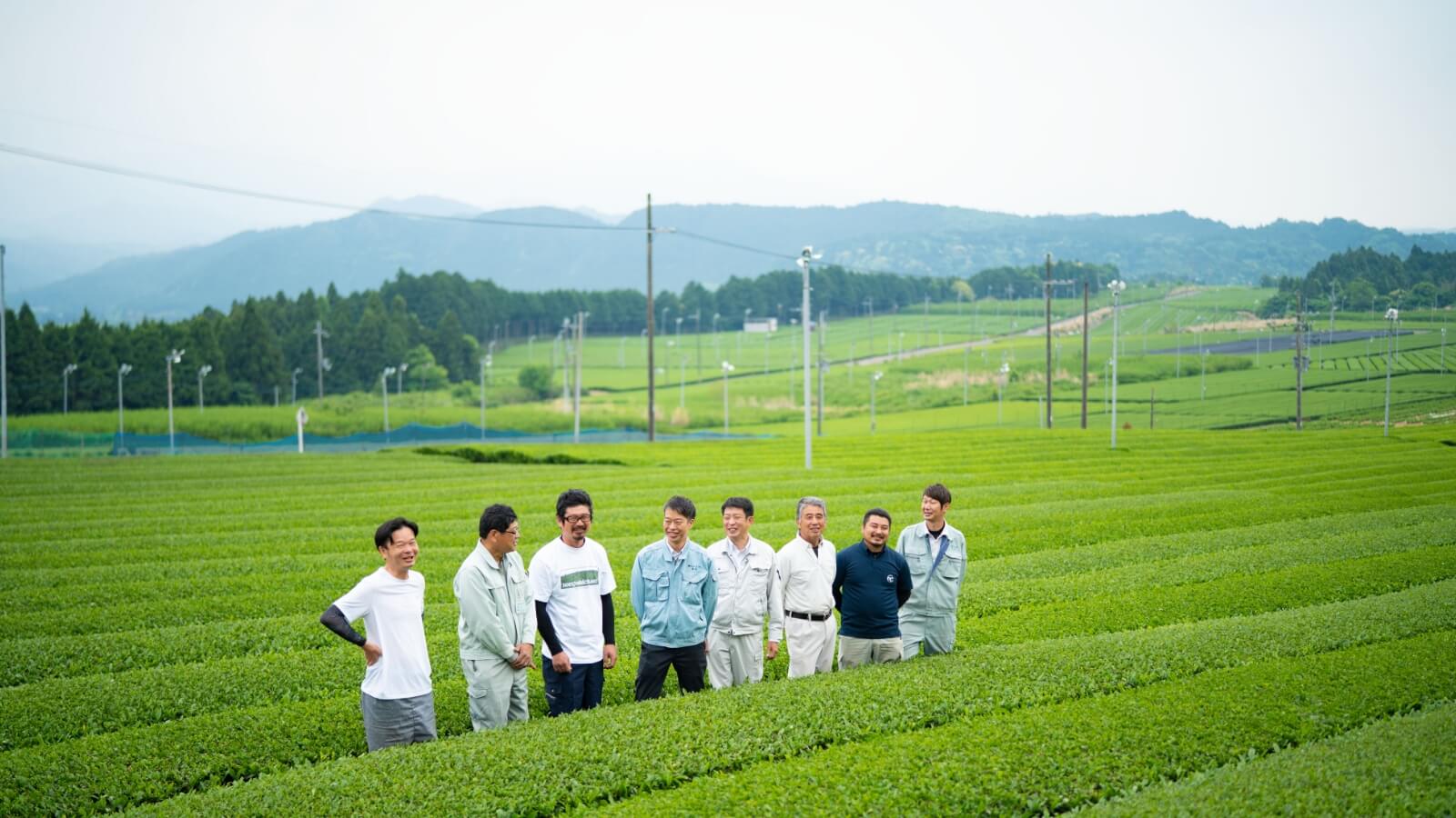 茶畑と茶農家・茶匠の方々の写真