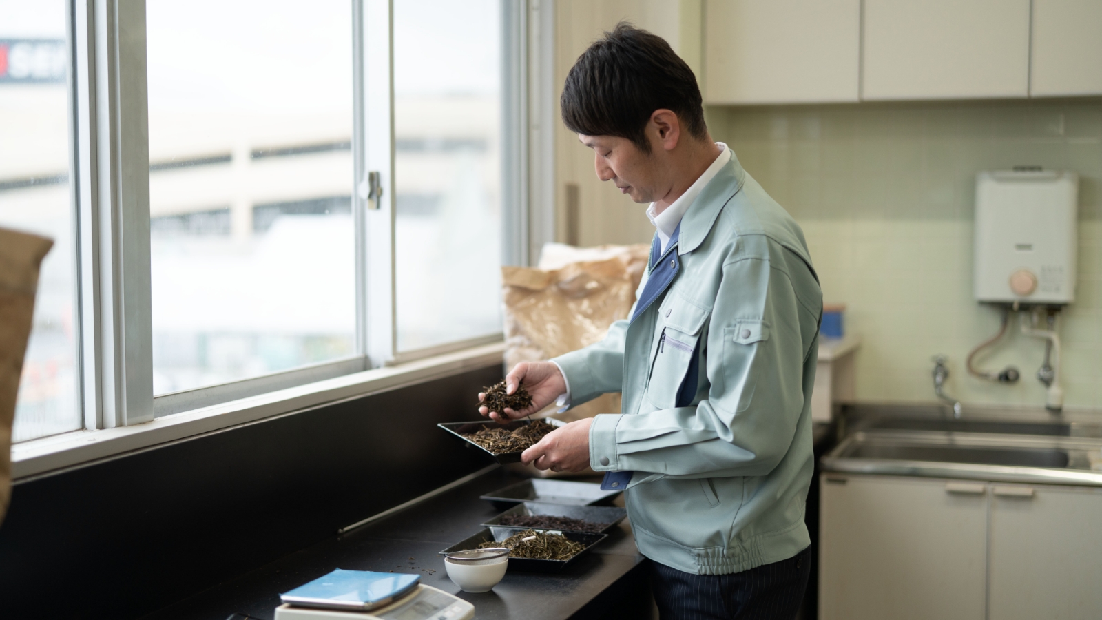 茶葉を確認している辻本氏の写真