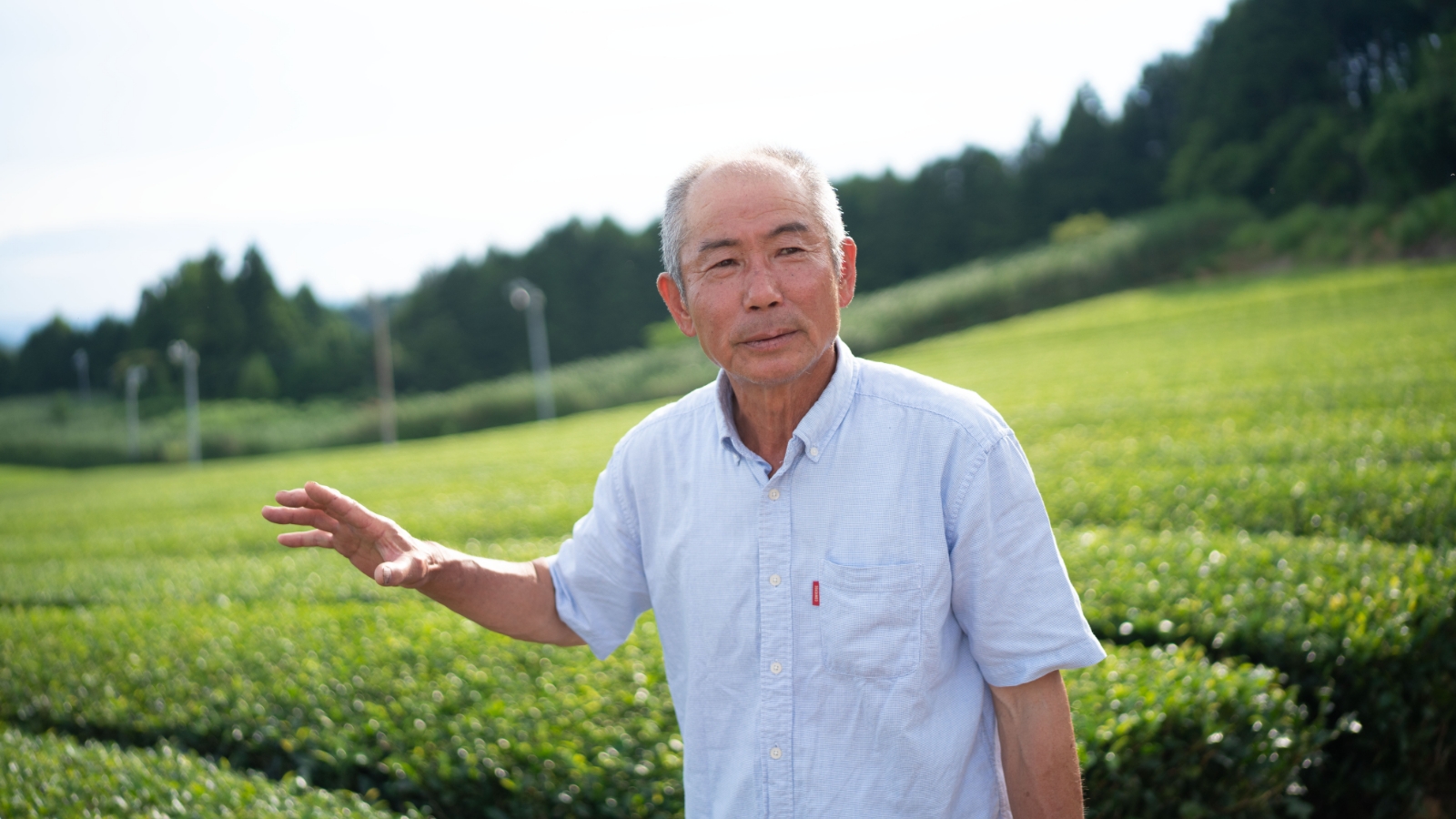 ほうじ茶について語る吉村氏の写真